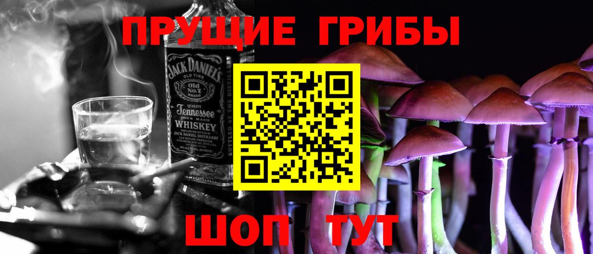 Азнакаево  Псилоцибиновые грибы Psilocybine cubensis  сколько стоит  Вход с VPN 